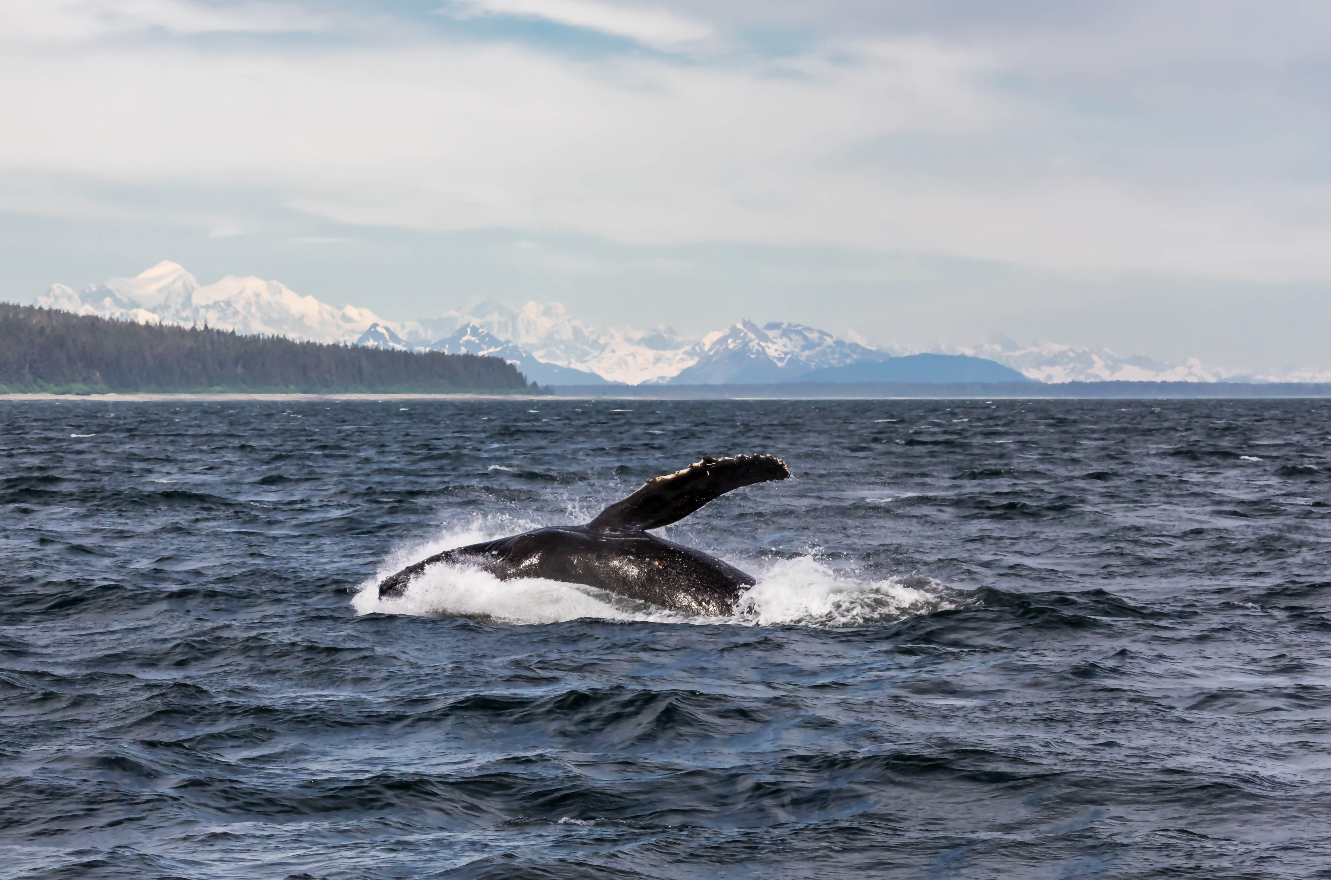 Vancouver to Seward